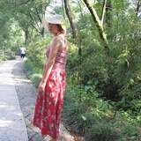 还是雏菊