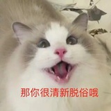 大魔王