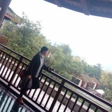 静林35