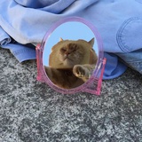 zzz