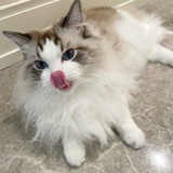 感谢相遇