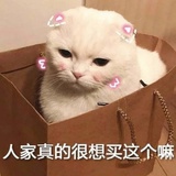 爱和面包