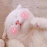 阿毕