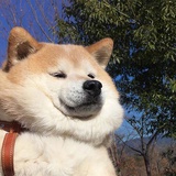 Felix