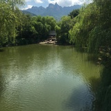 玫瑰园