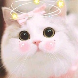 火龙果少女🎀