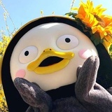 元气满满体面人