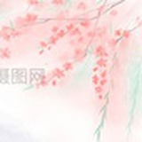 射手孤星