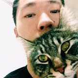 小D
