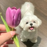 小狗拯救世界
