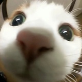 用户jkxoaixopl