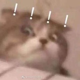 只能这样