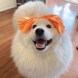 弎请