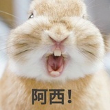 肖甜甜