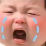 一个胖妹儿
