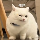 今天也有饭吃