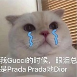 想要变成小矮子