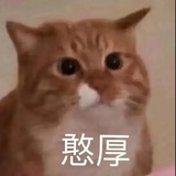 噜噜噜