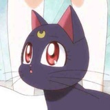 MiuMiu🐽