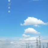 豆友183628202