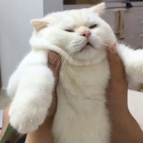 你像太阳