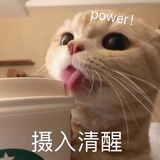 锤锤