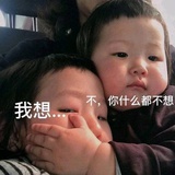 极品甘栗仁