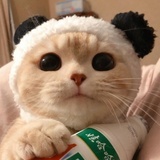 豆本豆本豆