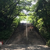 森之光