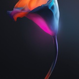 花花世界