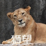 三观尽毁