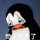 不学无术江湖骗子