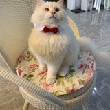 覔覔覔覔°