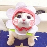 樱桃小丸子