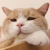 一去二三里🍓
