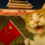 白玉鈴鐺蘭花花