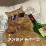 薄荷皮皮