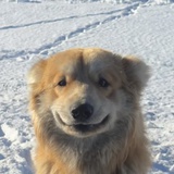 微活状态