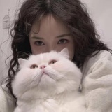 獭兔
