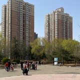 豆友183772653