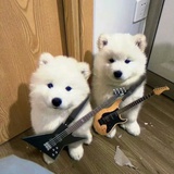 바나나우유