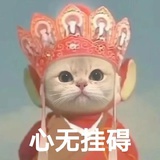 心无杂念