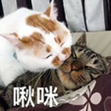 软肋