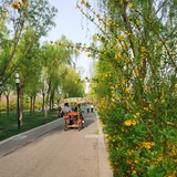 穷山距海