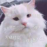 词不达意