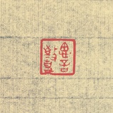 皮皮