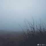 崖山雨