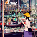 甜醋藕豆