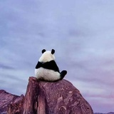 曾经的小丸子