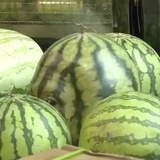 西红柿炖鸡